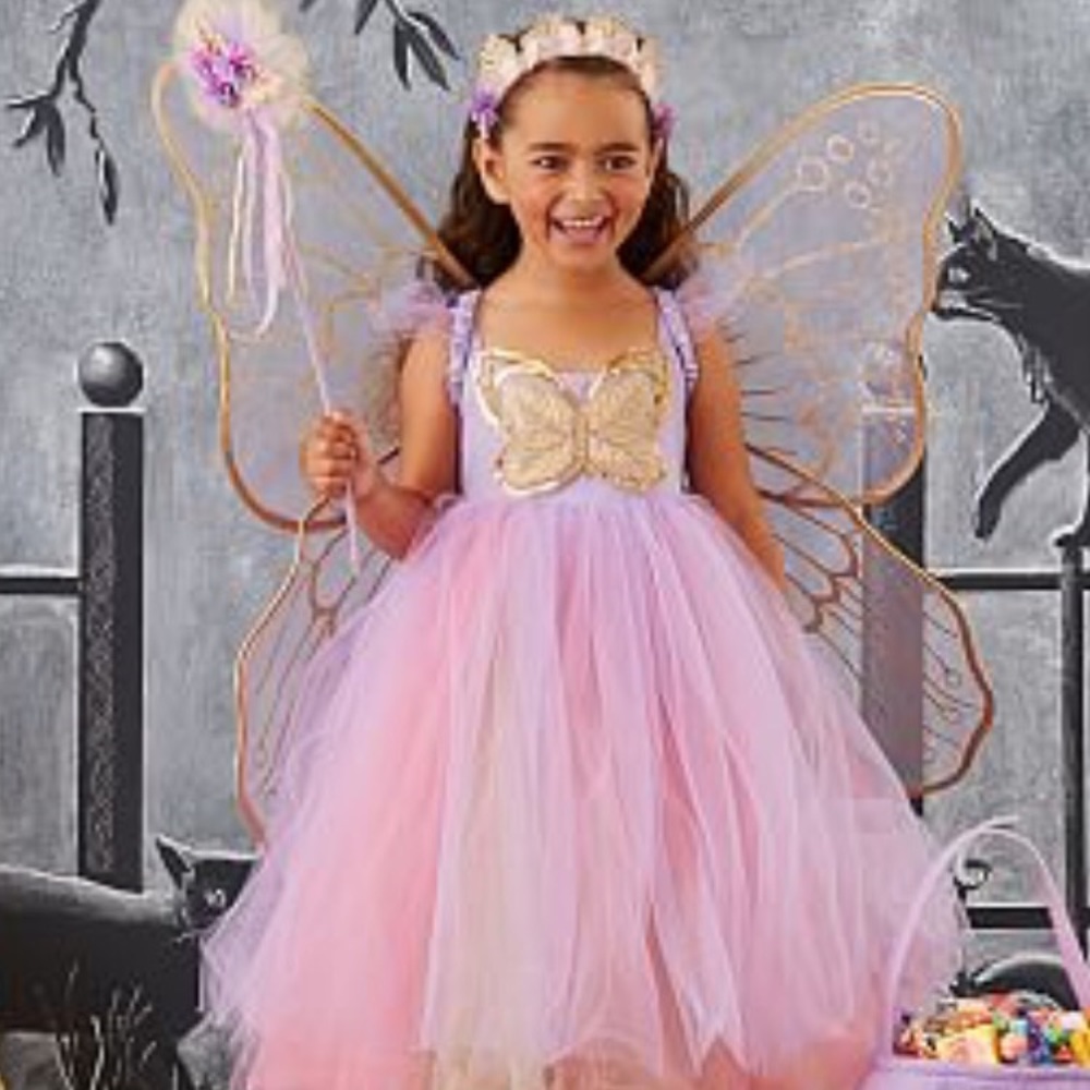 Butterfly fairy costume